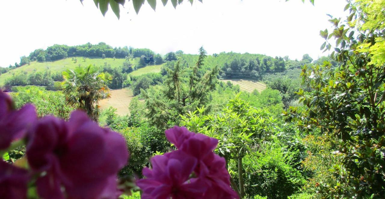 B&B Carboni Penna San Giovanni Exterior foto