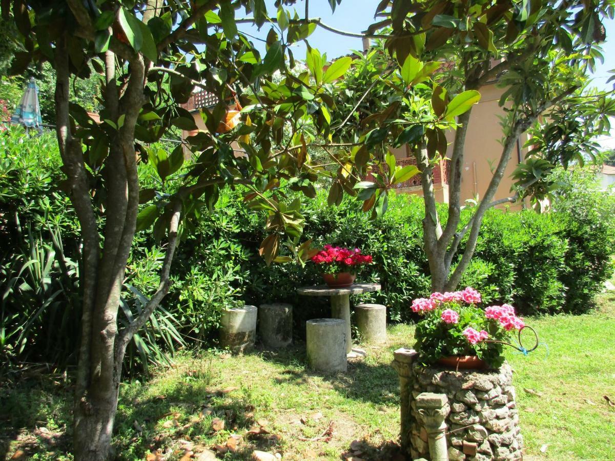B&B Carboni Penna San Giovanni Exterior foto